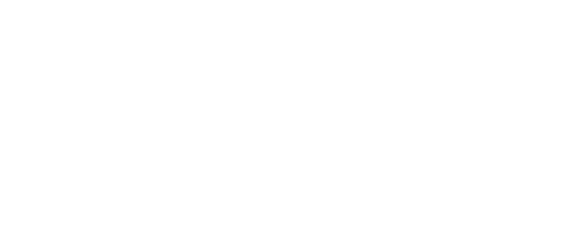 Logo Birzeit University.